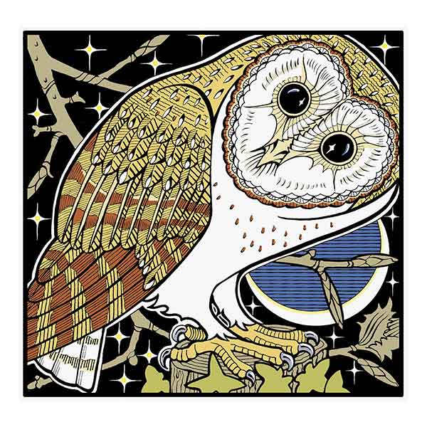 Barn Owl 2 1 Barn Owl 2 davidhallartist.info