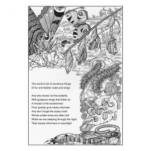 Layout 1 Page 10 web davidhallartist.info
