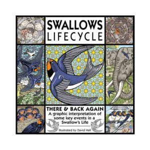 9. Swallow Lifecycle