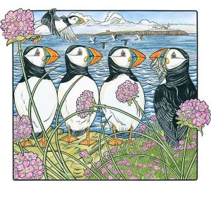 14 Sea Parrots and Pinks web 2 davidhallartist.info